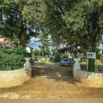 Beautiful In With Wifi * Umag
