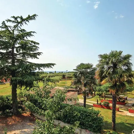 Apartment Beautiful In With Wifi Umag